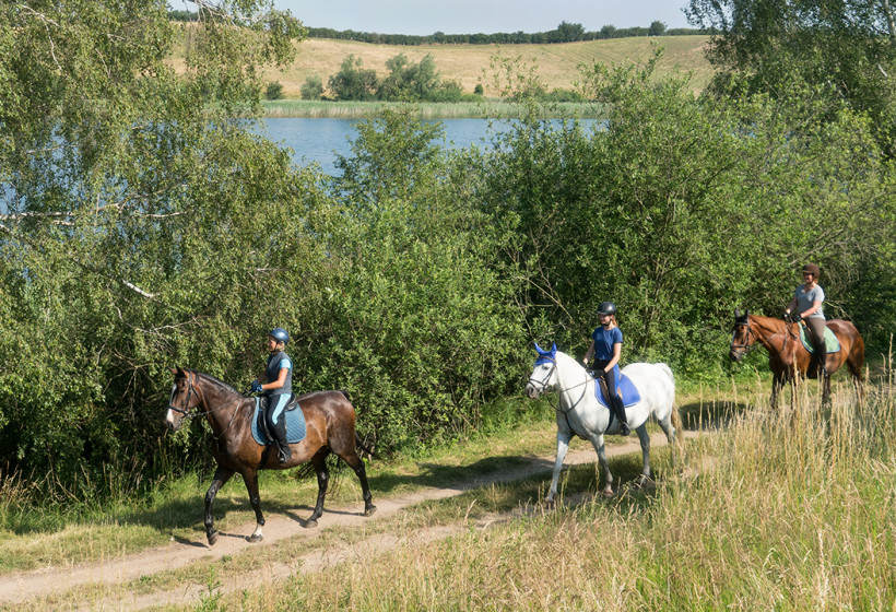 Geländeritt am Plather See